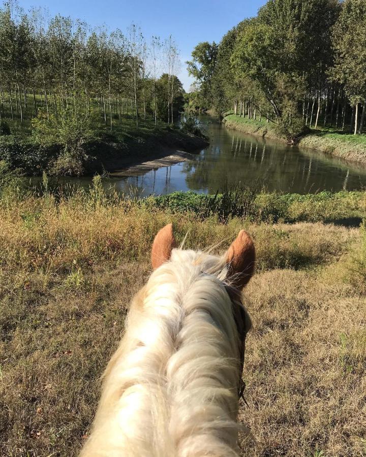 Agriturismo Tenuta "Il Cigno" Villanterio Kültér fotó