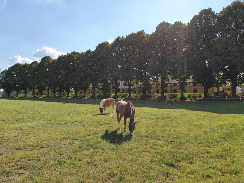 Agriturismo Tenuta "Il Cigno" Villanterio Kültér fotó