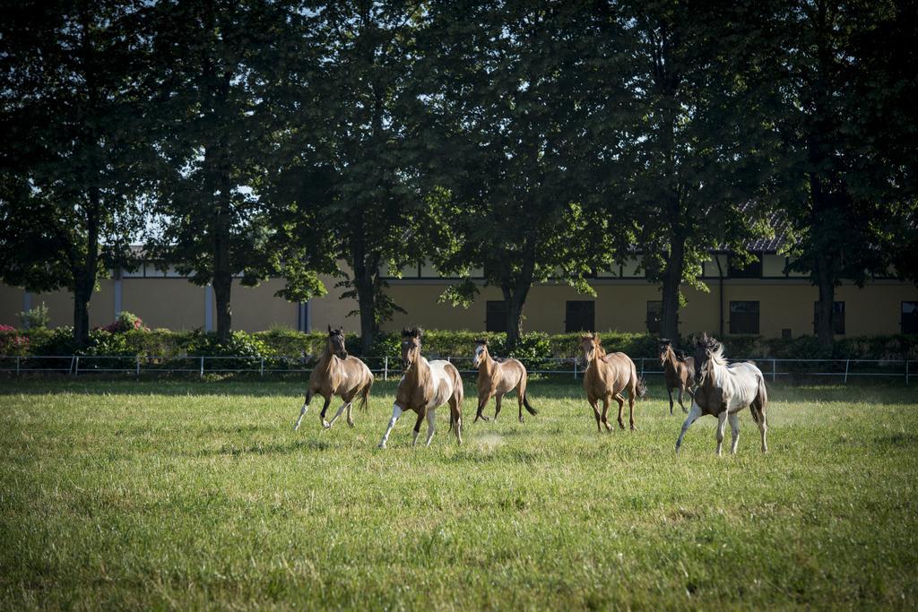 Agriturismo Tenuta "Il Cigno" Villanterio Kültér fotó