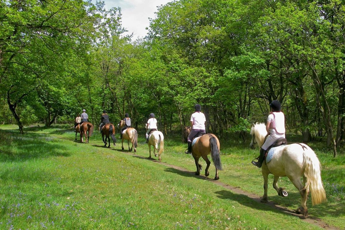 Agriturismo Tenuta "Il Cigno" Villanterio Kültér fotó