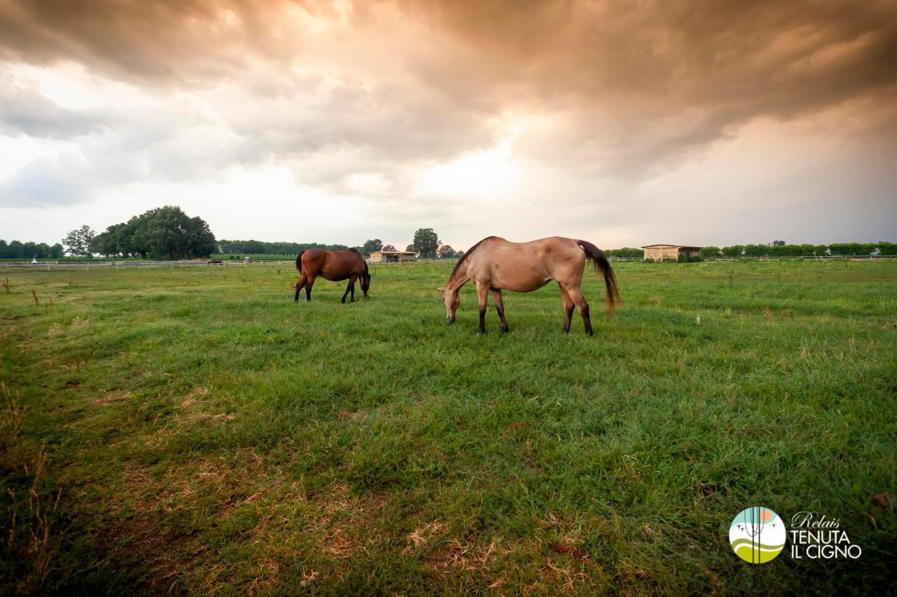 Agriturismo Tenuta "Il Cigno" Villanterio Kültér fotó
