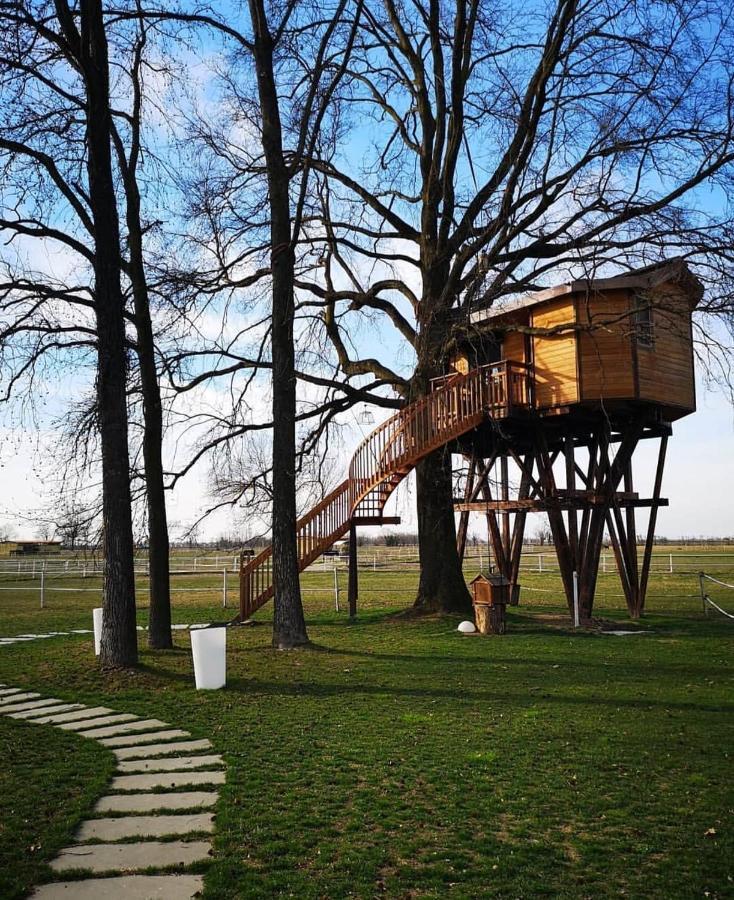 Agriturismo Tenuta "Il Cigno" Villanterio Kültér fotó